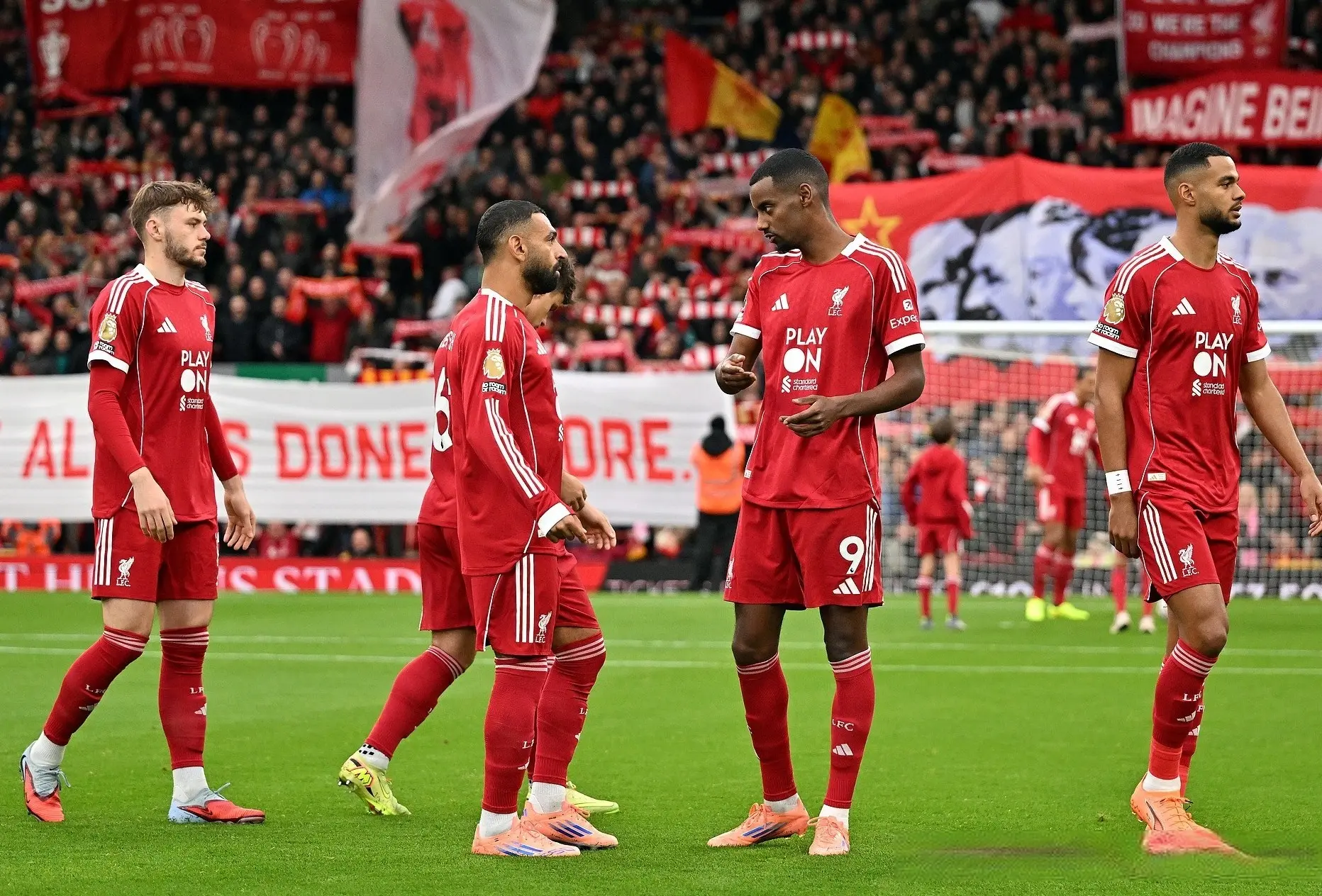 msn, 理调配阵容, div